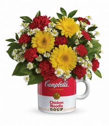 Campbell's Healthy Wishes by Teleflora from Fields Flowers in Ashland, KY